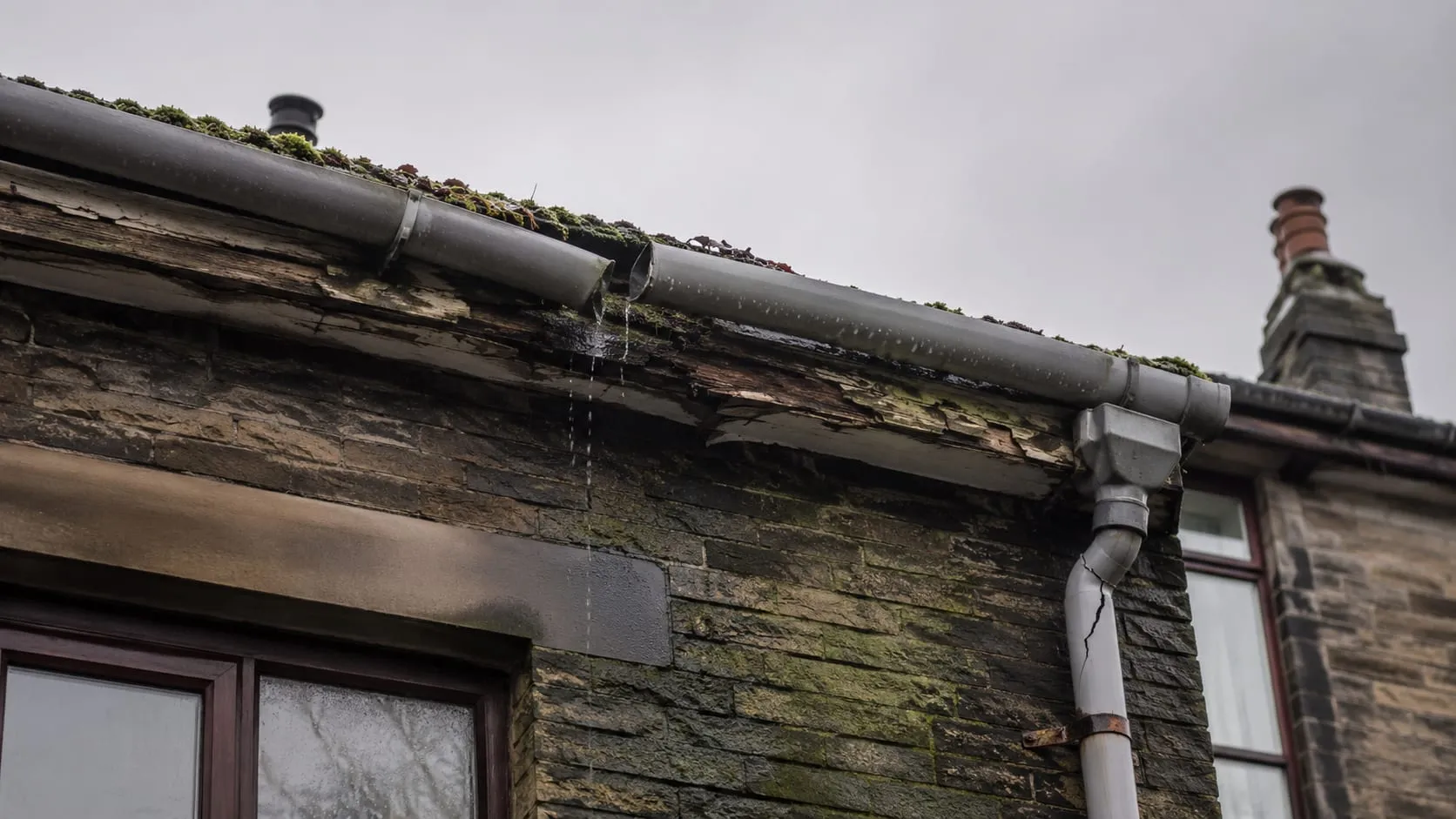 Failing rainwater goods before work: sagging grey uPVC guttering with a separated joint, moss in the channel and green algae staining the stone wall below.